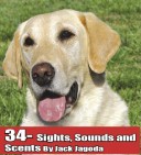 Jack Jagoda's article, Sights Sounds Scents, in The Sportsman's Magazine
